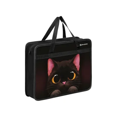 Папка на молнии BRAUBERG с ручками А4, 1 отделение, пластик, 80 мм, Big black cat, 274495
