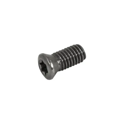 Винт Русский Инструмент М5 TORX T20 M5х10 SWB230 для механического крепления пластин ri.486.138