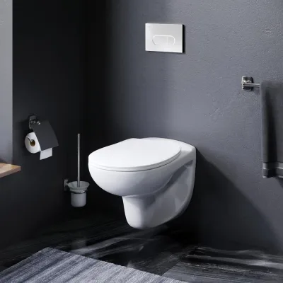 Унитаз подвесной Damixa Willow безободковый с сиденьем микролифт DX15C1700SC