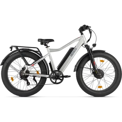 Электровелосипед BigCat Dual Next PRO серебристый матовый-3182 Eltreco 026166-3182
