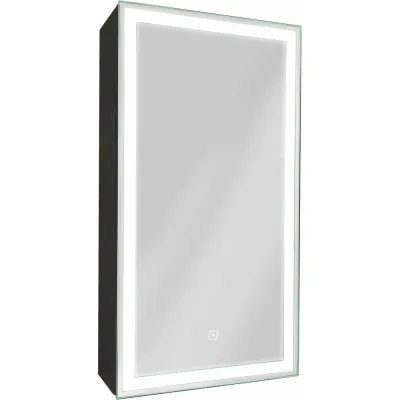 Зеркало-шкаф с подсветкой Art&Max TECHNO AM-Tec-350-650-1D-R-DS-F-Nero