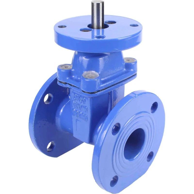 Задвижка клиновая DN.ru 30ч939р GGG50-GGG50-EPDM-BLUE Ду250 Ру10/16 с невыдвижным шпинделем, под электропривод D040-07724