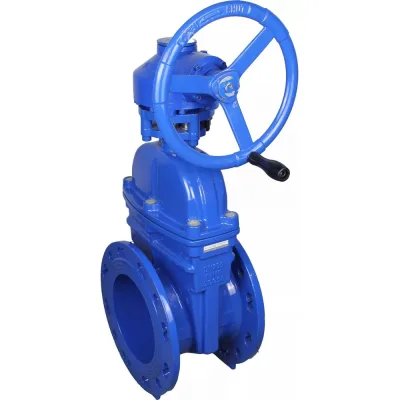 Задвижка клиновая DN.ru 30ч939р GGG50-GGG50-EPDM-BLUE Ду250 Ру10/16 с редуктором RMN1-360Z-T2,35-ISO D040-09322