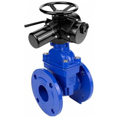 ΠΠ°Π΄Π²ΠΈΠΆΠΊΠ° ΠΊΠ»ΠΈΠ½ΠΎΠ²Π°Ρ DN.ru 30Ρ939Ρ GGG50-GGG50-EPDM-BLUE ΠΡ250 Π Ρ10/16 Ρ ΡΠ»Π΅ΠΊΡΡΠΎΠΏΡΠΈΠ²ΠΎΠ΄ΠΎΠΌ JW-020 380Π AC D040-11414
