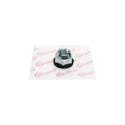 Гайка ступицы для а/м Renault Logan/Sandero/Lada X-Ray/Vesta/Largus Riginal RG8200964237