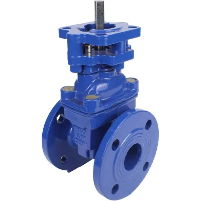 Задвижка клиновая DN.ru 30ч939р GGG50-GGG50-EPDM-BLUE Ду250 Ру10/16 с невыдвижным шпинделем, под электропривод D040-07716