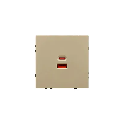 Розетка USB Arlight ARL NOBE тип A+C софт-тач золотой песок SCT-MUAC-SFPL-FC-GD 1шт 054318(1)