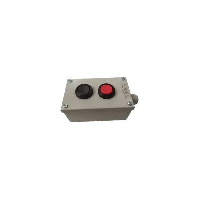 Пост кнопочный Briswik 2 поста, настенный, металл IP54 PKU15(22)1212U2M-000