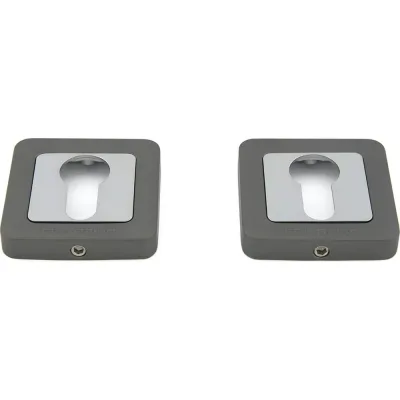 Накладка на цилиндр Palladium E ET GF УТ-00000351