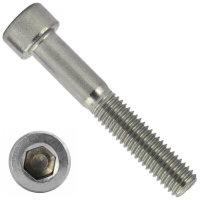 Винт TOOLAS с внутренним шестигранником М12 х 020, 10 шт 4310