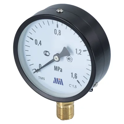 Манометр вертикальный Millennium 1/2" (100/16 бар) MVML1216100