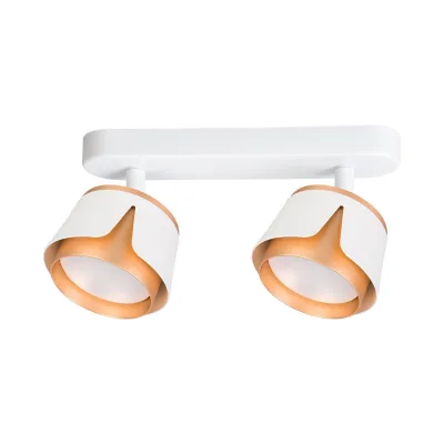 Спот ARTE LAMP AMAKS A8028PL-2WH