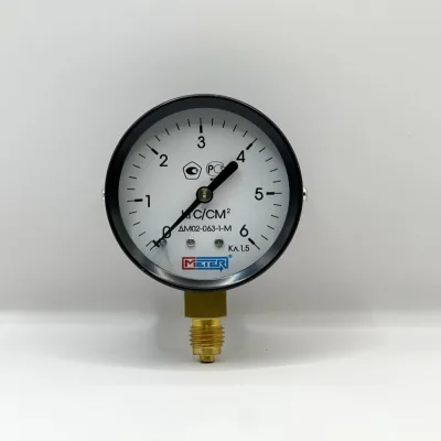 Манометр МЕТЕР ДМ 02-063-1-М, Р=0..6 кгс/см2 М12x1,5 кл.1,5 676