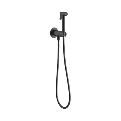 Смеситель скрытого монтажа с гигиеническим душем Aqueduto PUREZA AquaLock, со скрытой частью, оружейная сталь PUR0145