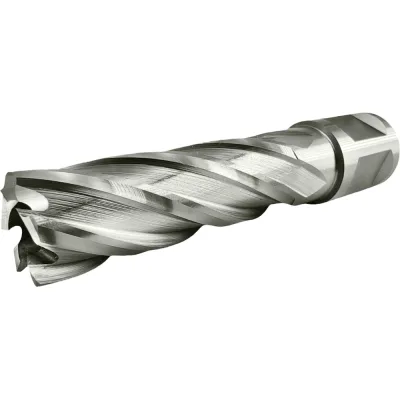 Сверло корончатое TIGER Cut Weldon 19 17х55 мм HSS 4011755