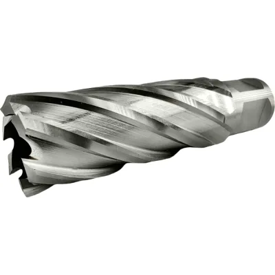 Сверло корончатое TIGER Cut Weldon 19 23х55 мм HSS 4012355