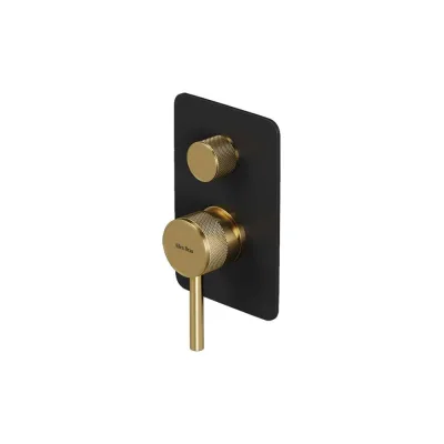 Смеситель встроенный ALLEN BRAU 5.31011-31GB PRIORITY X2 2 выхода накладка-черн.,элементы-зол. (367804) 00367804