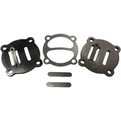 Клапанная группа Remeza R (21124003, 21124010) LH20-2/LB30-2/40-3, 1021 от 21.10.2025 21124013