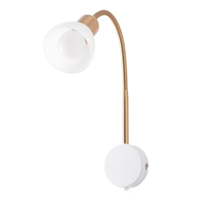 Π‘ΠΏΠΎΡ Π½Π°ΡΡΠ΅Π½Π½ΡΠΉ Arte Lamp E14 40 ΠΡ 2 ΠΊΠ².ΠΌ Π±Π΅Π»ΡΠΉ/Π·ΠΎΠ»ΠΎΡΠΎ IP20 (A3116AP-1WH)