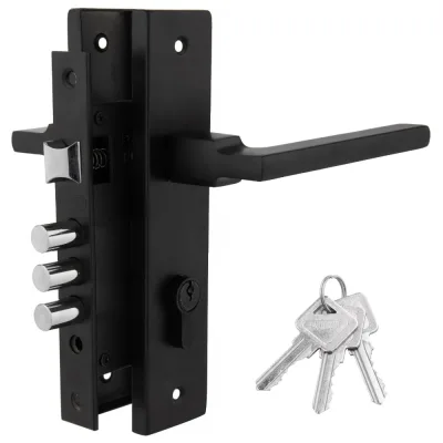 Дверной комплект PALIDORE LHS 6237-220, 3 ключа, Black 98761524