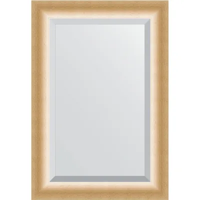 Зеркало EVOFORM с фацетом в багетной раме - травленое золото 87 мм (66x96 см) BY 1181