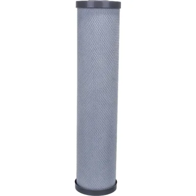 Cменный элемент Гейзер CBC10-Ag-20BB 27096