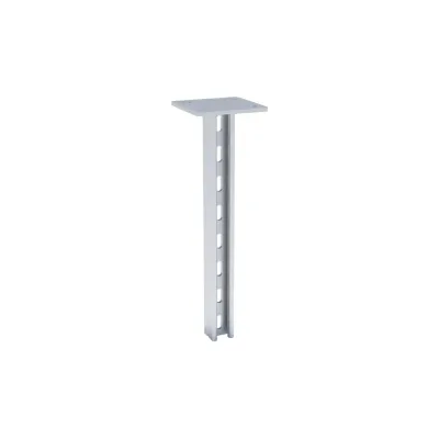 STRUT стойка двойная ООО "СТАЛЬНЫЕ СИСТЕМЫ" 41x21, 2,5 мм, L=3000 мм SR26300-18