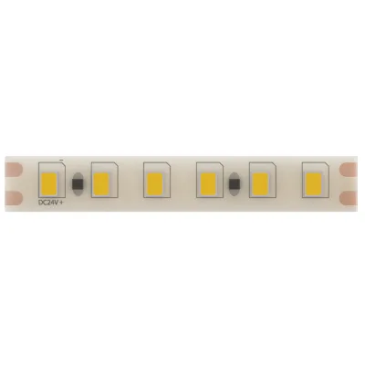 Лента светодиодная Arte Lamp 6000К белый свет 9,6 Вт/м 24 В IP20 SMD 2835 5 м (A2412008-06-6K)
