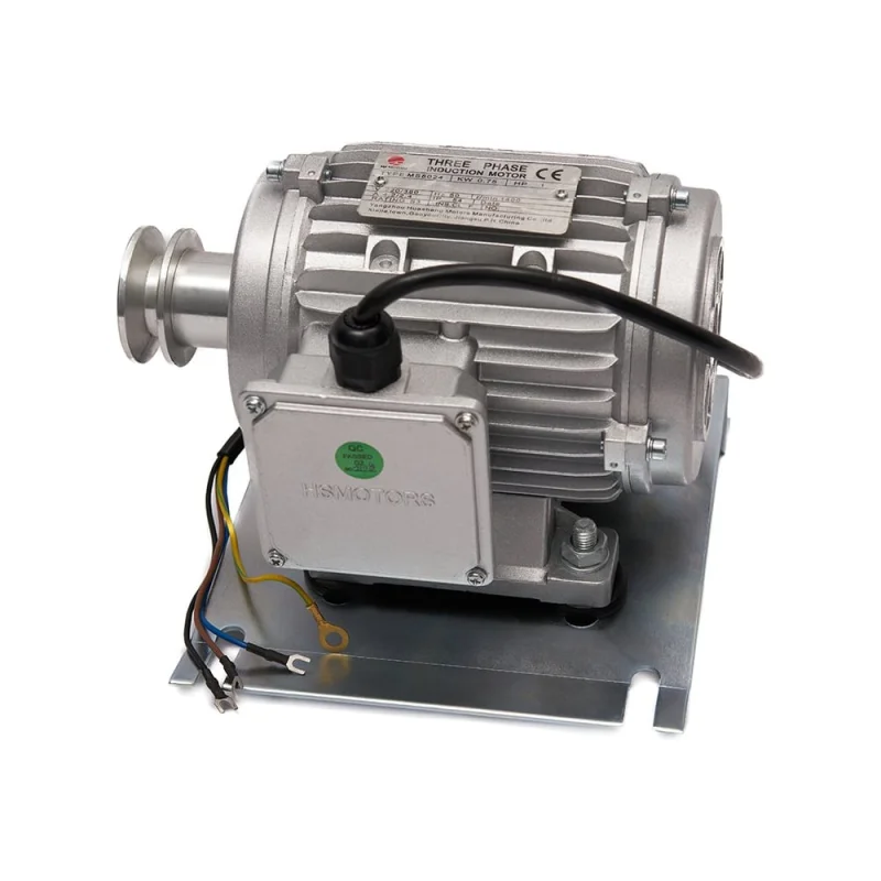 Электромотор односкоростной ROSSVIK V124 MOTOR (380V, 50Hz, 3P, 0.75Kw) 4002801