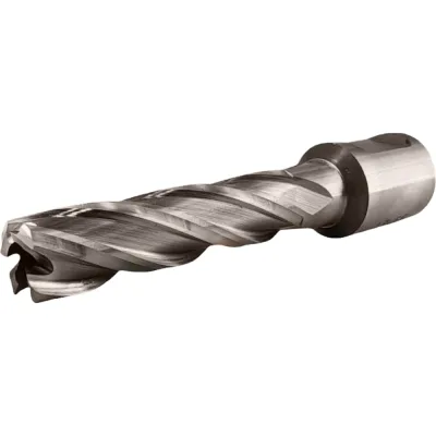 Сверло корончатое TIGER Cut Weldon 19 13х55 мм HSS 4011355