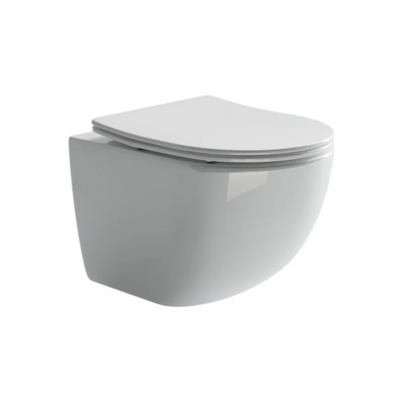 Подвесной унитаз Ceramicanova FORMA Rimless с крепежом, с сиденьем-крышкой с микролифтом CN3009