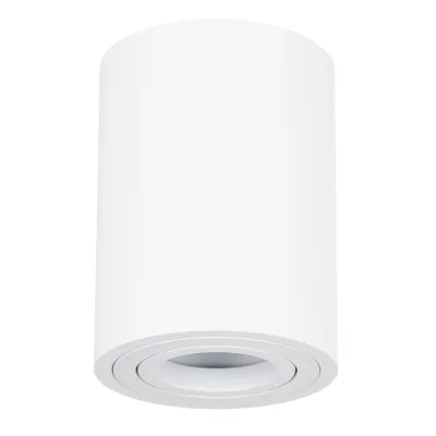 Π‘ΠΏΠΎΡ ΠΏΠΎΡΠΎΠ»ΠΎΡΠ½ΡΠΉ Maytoni Technical Alfa GU10 50 ΠΡ 4 ΠΊΠ².ΠΌ Π±Π΅Π»ΡΠΉ IP20 (C016CL-01W)