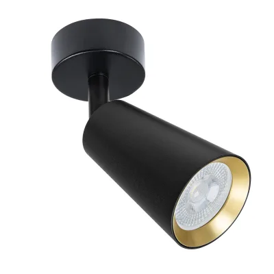 Спот Arte Lamp Cintura GU10 35 Вт 1 кв.м черный/золото IP20 (A2353PL-1BK)