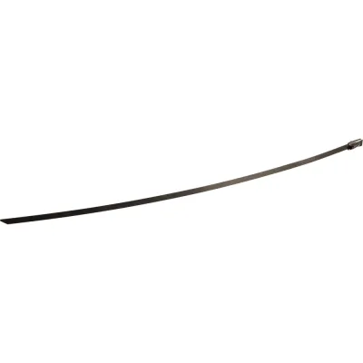 Стальные стяжки FORTISFLEX СКС 316 4.6х250 74869