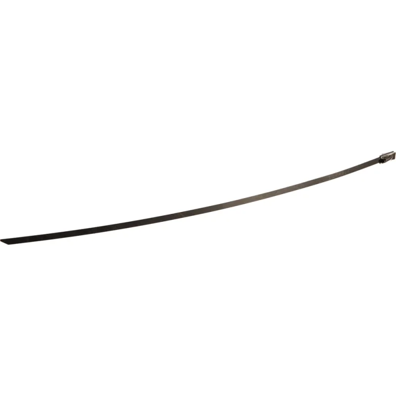 Π‘ΡΠ°Π»ΡΠ½ΡΠ΅ ΡΡΡΠΆΠΊΠΈ FORTISFLEX Π‘ΠΠ‘ 316 4.6Ρ
250 74869