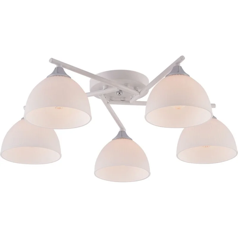 ΠΡΡΡΡΠ° ΠΏΠΎΡΠΎΠ»ΠΎΡΠ½Π°Ρ Schaffner Pluma E27 300 ΠΡ 18 ΠΊΠ².ΠΌ (4245-5 WH-CR)