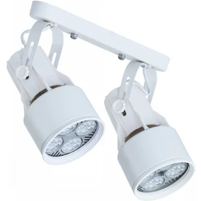 Π‘ΠΏΠΎΡ Arte Lamp Lyra E27 80 ΠΡ 4 ΠΊΠ².ΠΌ Π±Π΅Π»ΡΠΉ IP20 (A6252PL-2WH)