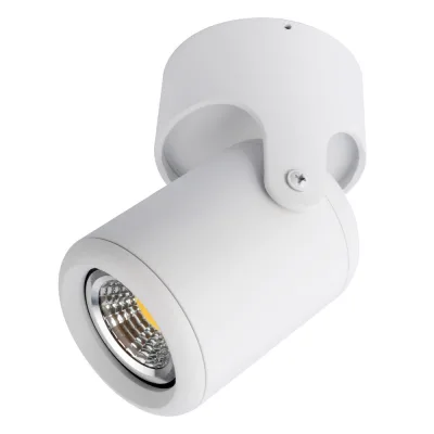 Π‘ΠΏΠΎΡ Arte Lamp Libra GU10 50 ΠΡ 1 ΠΊΠ².ΠΌ Π±Π΅Π»ΡΠΉ IP20 (A3316PL-1WH)