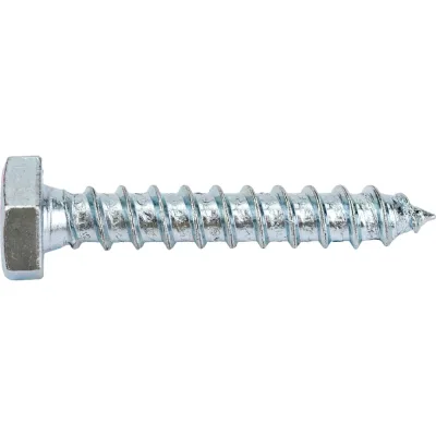 Сантехнический шуруп с ШГ ЕВРОПАРТНЕР DIN 571 Zn 10х60 2шт. 5 0959 1