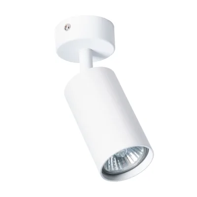 Π‘ΠΏΠΎΡ ΠΏΠΎΡΠΎΠ»ΠΎΡΠ½ΡΠΉ Arte Lamp Aquarius GU10 35 ΠΡ 1 ΠΊΠ².ΠΌ Π±Π΅Π»ΡΠΉ IP20 (A3216PL-1WH)