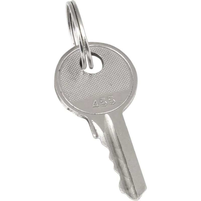 Ключ для замка EKF арт. 18-16/38-ip31 20 штук proxima key-2