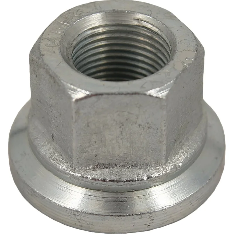 Гайка колеса 6 шт для а/м Г-4301, ПАЗ, Газон-NEXT, КАМАЗ Riginal RG356-75194