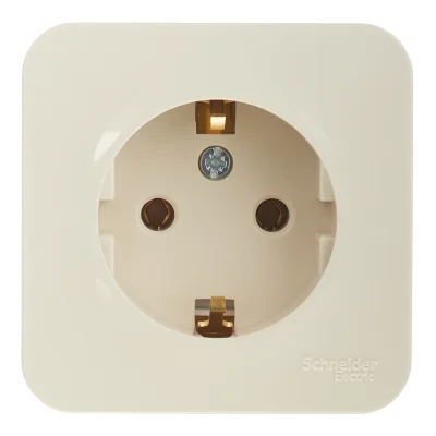 Розетка Systeme Electric Blanca накладная бежевая (BLNRA010117)