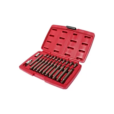 Набор бит JTC 1/2" 3/8" RIBE RM5-RM14 + 2 держателя кейс 23 предмета -5715 668254