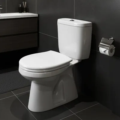 Унитаз-компакт Santek АНИМО 1.WH30.2.133, 00000048139 1WH302133