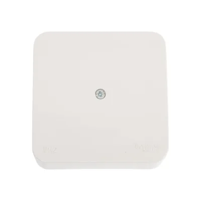 Распределительная коробка Systeme Electric BLANCA О/У IP42, МОЛОЧНЫЙ BLNRK000012