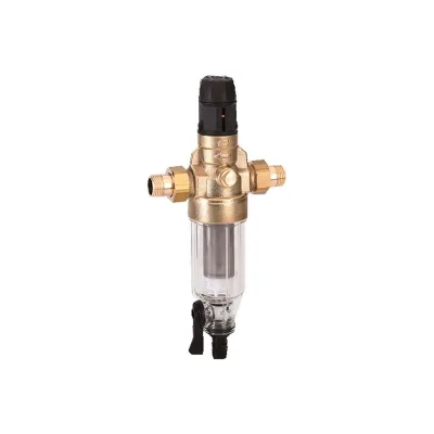 Фильтр с редуктором Protector mini HWS C/R  1/2" для холодной воды BWT 810549 810548