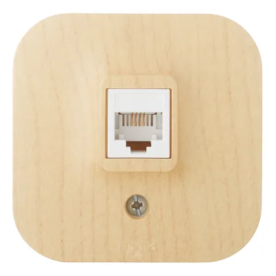 Π ΠΎΠ·Π΅ΡΠΊΠ° ΡΠ΅Π»Π΅ΡΠΎΠ½Π½Π°Ρ Legrand Quteo Π½Π°ΠΊΠ»Π°Π΄Π½Π°Ρ Π΄Π΅ΡΠ΅Π²ΠΎ RJ11 (782274)