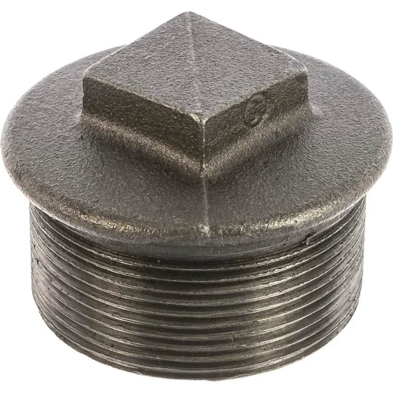 Заглушка чугун Fittex PLUS Ду 50 2 НР 128-0908
