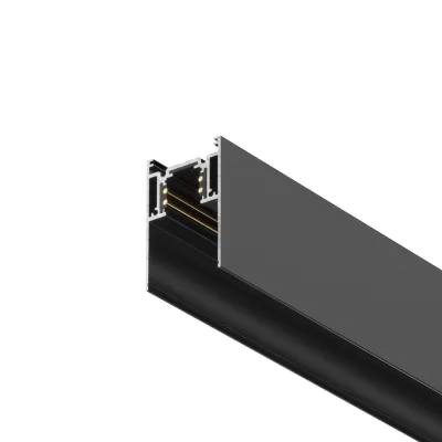 Π¨ΠΈΠ½ΠΎΠΏΡΠΎΠ²ΠΎΠ΄ ΠΌΠ°Π³Π½ΠΈΡΠ½ΡΠΉ Maytoni Technical Gravity 2 ΠΌ ΡΠ΅ΡΠ½ΡΠΉ (TRX010-412B)
